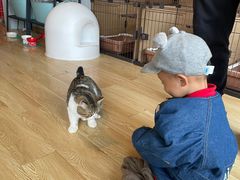 -Cappucimeow猫咪咖啡馆(韦伯时代店)
