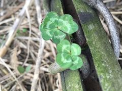 -白鹭湾湿地公园