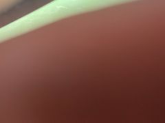-东郊椰林