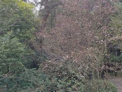 -狼山风景名胜区