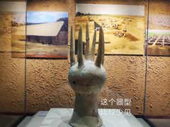-亳州博物馆