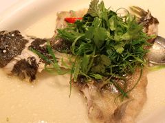 古法盐水蒸北江大禾顺鱼-山泉公馆酒家(广州东站店)