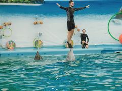 -尼莫海豚馆