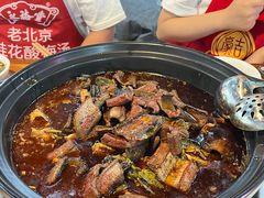 -金海椒罐罐鲢鱼(东方桂苑店)