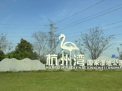 -宁波杭州湾国家湿地公园