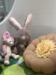 -薇薇安花系SPA