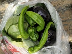 -庞各庄翠芳园西瓜蔬菜基地采摘园