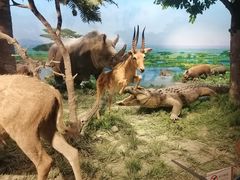 -国家自然博物馆