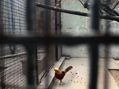 -北京动物园