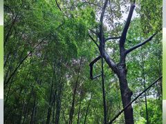 -敬亭山风景名胜区