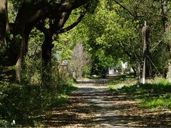 -上海佘山国家森林公园天马山园