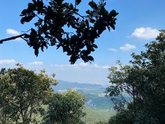 -午潮山国家森林公园