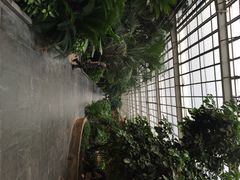 iphone_upload_pic-龙达温泉生态城