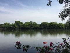 -西湖外事游船(花港观鱼码头)