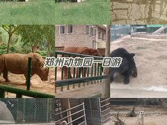 -郑州市动物园
