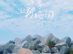 -南汇嘴观海公园