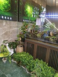 -阅年轻·AI家庭健康体质调理