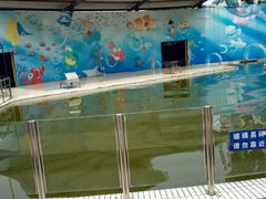 android_upload_pic-西安秦岭野生动物园