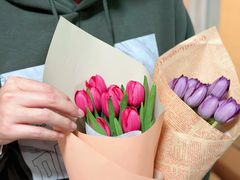 -双季花艺园艺市场(浦东店)