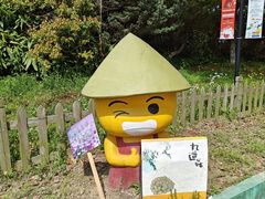 -上海都市菜园