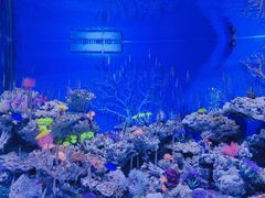 -成都浩海立方海洋公园