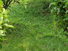 -飞来湖湿地公园
