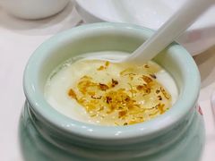 老北京自制酸奶-皇城根·烤鸭·鱼头·家常菜(欧亚大观乐活城店)