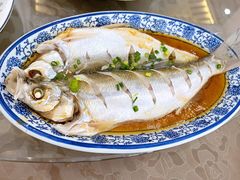 清蒸白鱼-西汇饭店(甪直店)