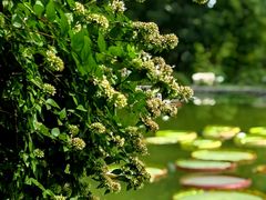 -国家植物园南园