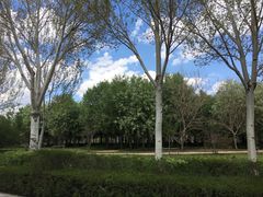 -长春公园(普阳街道)