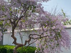 -北京鲁迅博物馆(北京新文化运动纪念馆鲁博馆区)