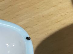 -回味鸭血粉丝汤(新城市广场店)