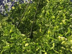 -东方宫中国兰州牛肉拉面(新起街店)