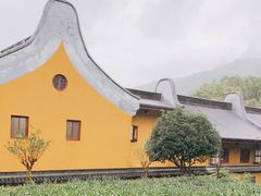 -杭州西湖风景名胜区-三生石