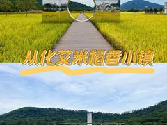 -风云岭森林公园