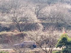 -福建天门山