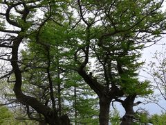 -白草畔自然风景区