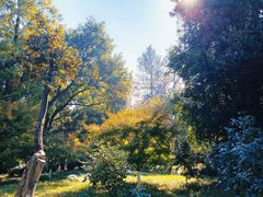 -杭州植物园