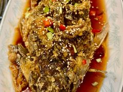 -环宇草鸡店·特色炒鸡