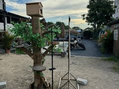 -DGE季风钓虾营地·团建·聚会