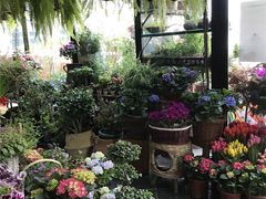 -荷兰布尔玛国际花艺学院