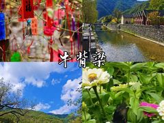 -牛背梁国家森林公园