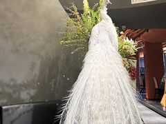 -滇野云南野生菌餐厅(陕西南路店)