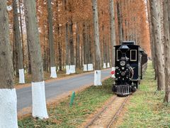 -黄海国家森林公园