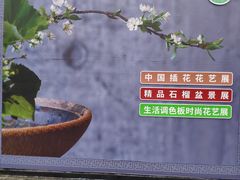 -石家庄市植物园