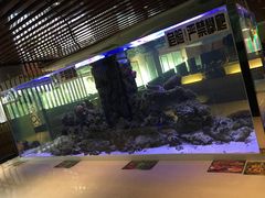 -西玛西餐厅(乐晟广场店)