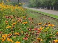 -永定河休闲森林公园