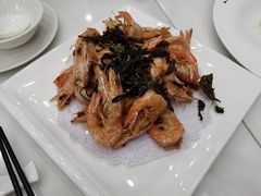 -小耕园