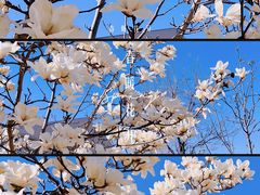 -朝阳体育中心