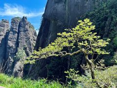 -三清山风景名胜区